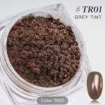 Pigment Unghii Chrome Grey Tint TR01