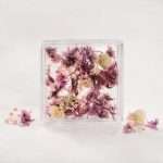 Flori Uscate Naturale Manichiura Nail Art - imagine 2