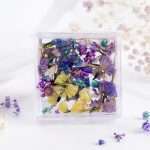 Flori Uscate Naturale Manichiura Nail Art - imagine 4