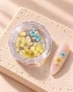 Flori Naturale Uscate Pentru Nail Art - imagine 5